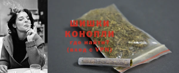 соль ск Богданович