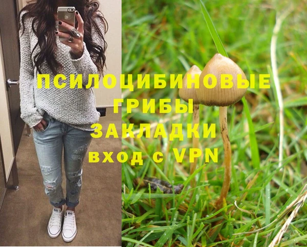ПСИЛОЦИБИНОВЫЕ ГРИБЫ Богородицк