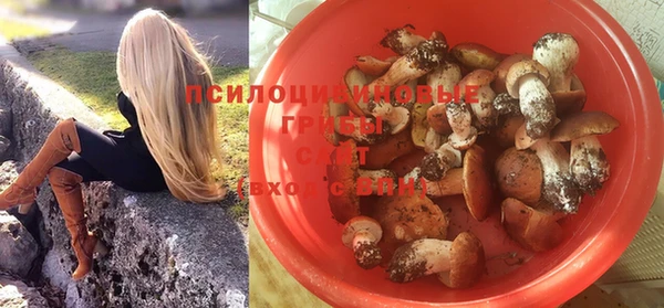 соль ск Богданович