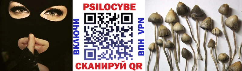 Псилоцибиновые грибы GOLDEN TEACHER  Макушино 